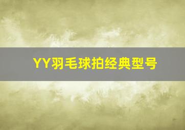 YY羽毛球拍经典型号