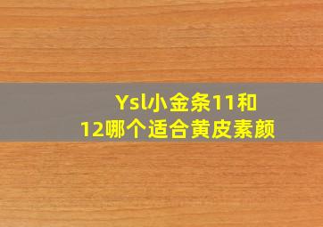 Ysl小金条11和12哪个适合黄皮素颜