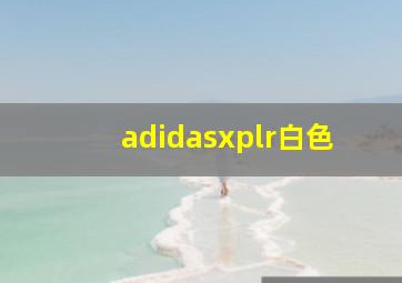 adidasxplr白色