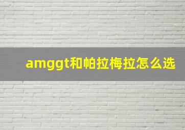 amggt和帕拉梅拉怎么选