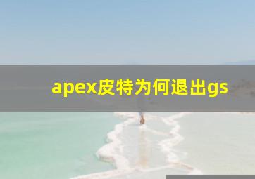 apex皮特为何退出gs