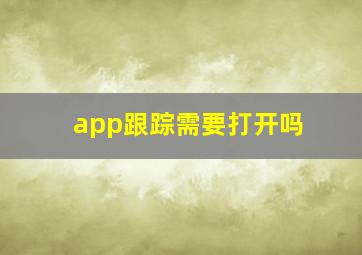 app跟踪需要打开吗