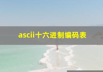 ascii十六进制编码表