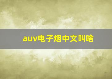 auv电子烟中文叫啥