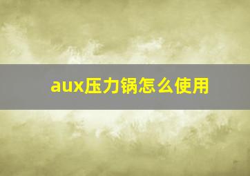 aux压力锅怎么使用