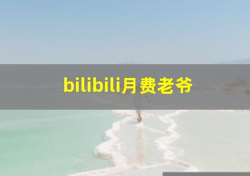 bilibili月费老爷