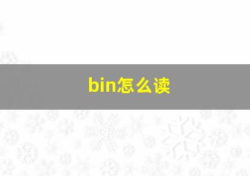 bin怎么读