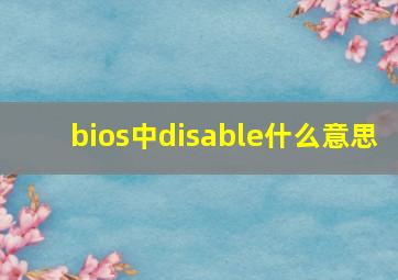 bios中disable什么意思