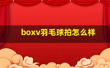 boxv羽毛球拍怎么样