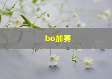 bo加赛