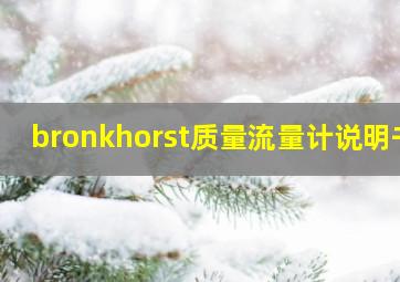 bronkhorst质量流量计说明书