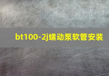 bt100-2j蠕动泵软管安装