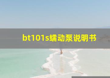 bt101s蠕动泵说明书