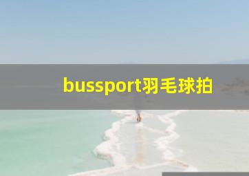 bussport羽毛球拍