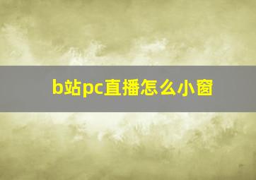 b站pc直播怎么小窗