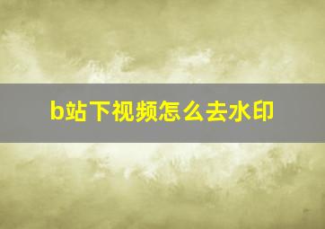 b站下视频怎么去水印