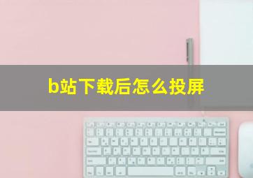 b站下载后怎么投屏