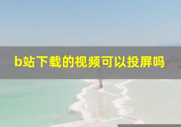 b站下载的视频可以投屏吗