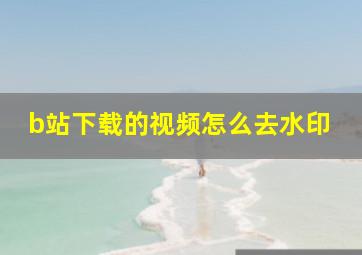 b站下载的视频怎么去水印