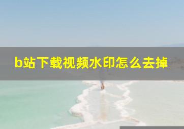 b站下载视频水印怎么去掉