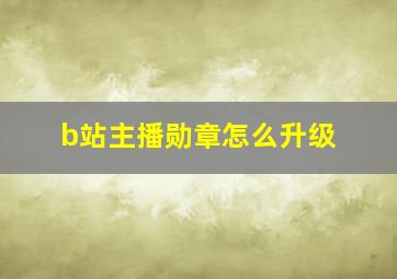 b站主播勋章怎么升级