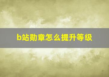 b站勋章怎么提升等级