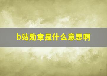 b站勋章是什么意思啊