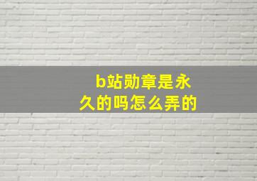 b站勋章是永久的吗怎么弄的