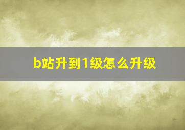 b站升到1级怎么升级