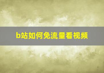 b站如何免流量看视频