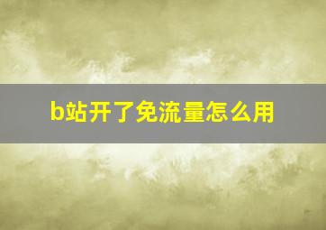 b站开了免流量怎么用