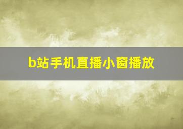 b站手机直播小窗播放