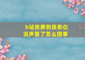 b站投屏到投影仪没声音了怎么回事