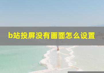 b站投屏没有画面怎么设置