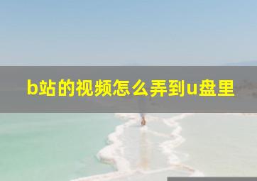 b站的视频怎么弄到u盘里