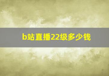 b站直播22级多少钱