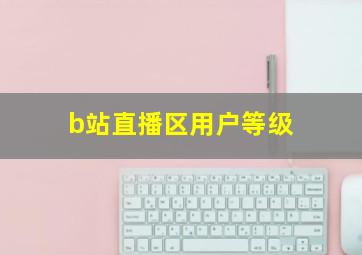 b站直播区用户等级