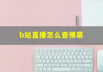 b站直播怎么查弹幕