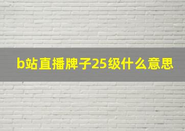 b站直播牌子25级什么意思