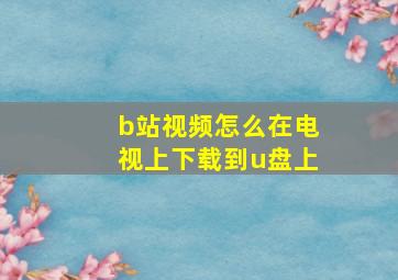 b站视频怎么在电视上下载到u盘上