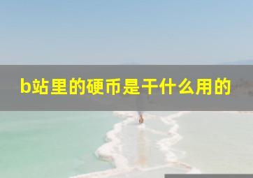 b站里的硬币是干什么用的