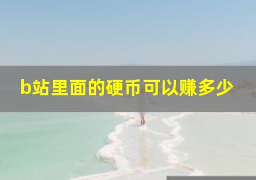 b站里面的硬币可以赚多少