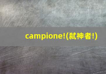 campione!(弑神者!)