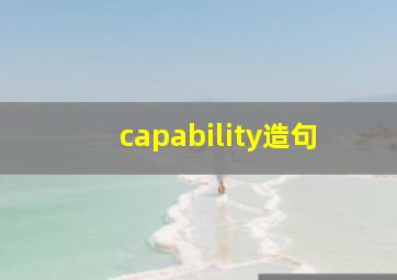 capability造句