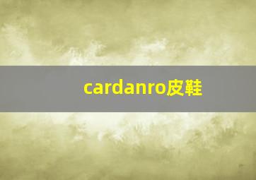 cardanro皮鞋