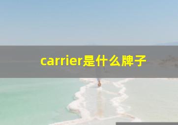 carrier是什么牌子