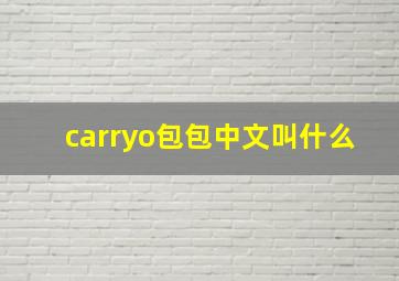 carryo包包中文叫什么