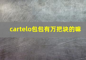 cartelo包包有万把块的嘛