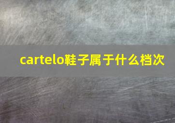 cartelo鞋子属于什么档次