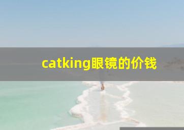 catking眼镜的价钱